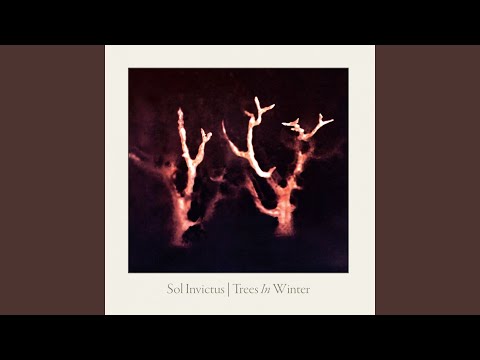 Somewhere in Europe (Trees in Winter Version)