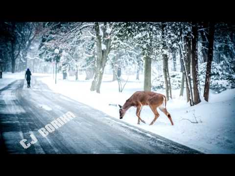 Cj Borika -Zamtaria Sicivea