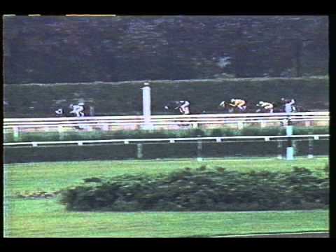 1993 Grade 1 Woodward at Belmont Park: Bertrando