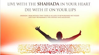 A hardcore Atheist realized that he rather die as a believer and go to Paradise instead of dying as a disbeliever and endi...