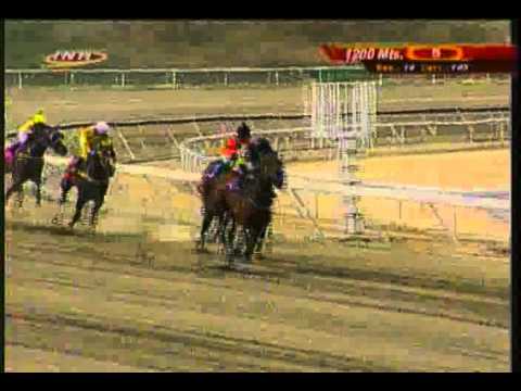 Resumen Domingo, 22 de Febrero de 2015 - La Rinconada