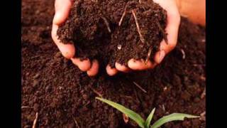 alberto plaza te convido