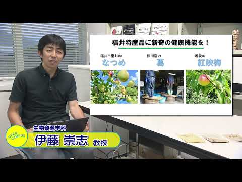 ～食品機能科学分野の紹介～福井県立大学　伊藤　崇志　教授