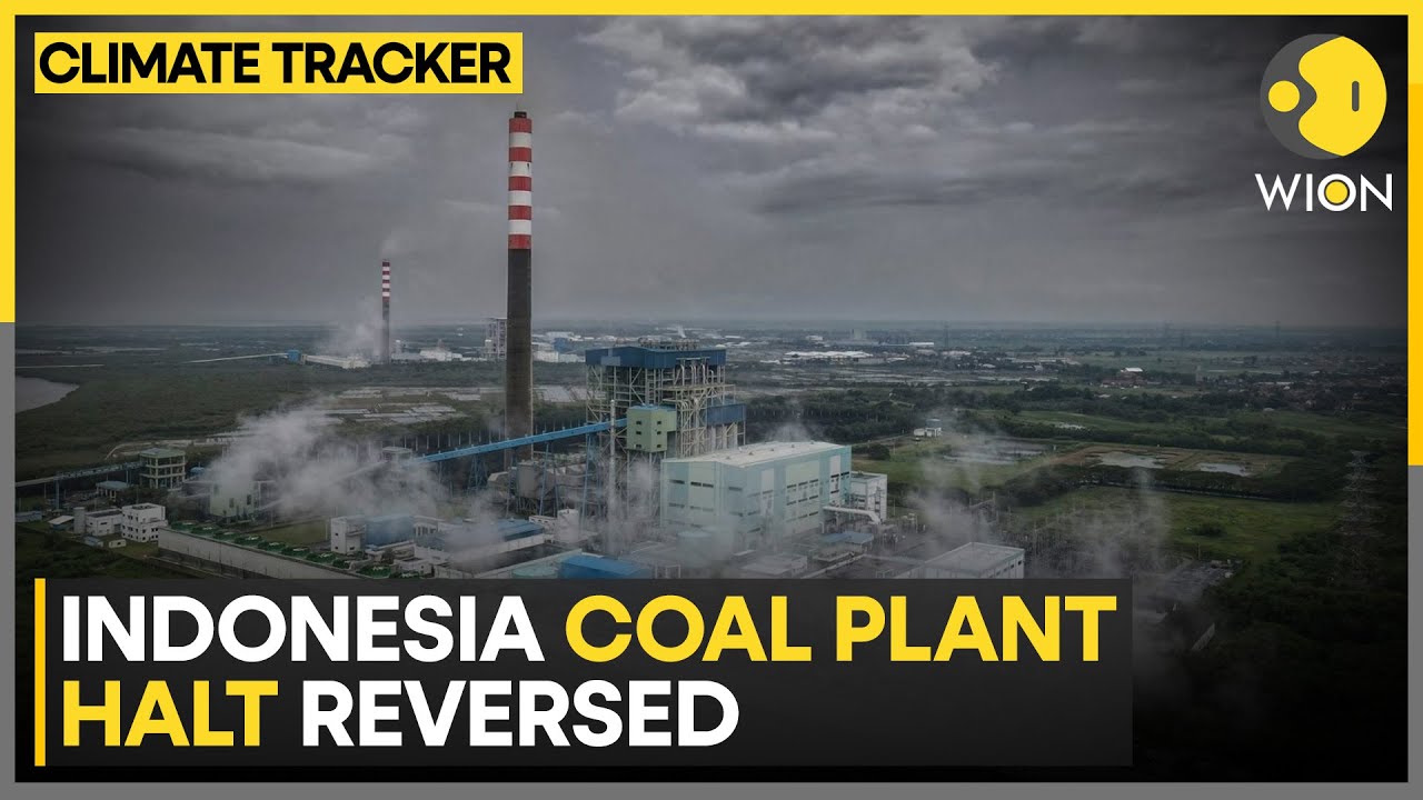 Indonesia Reverses Coal Plant Closure Plan, Raising Questions on Energy Transition | WION