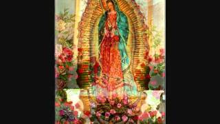 Buenos Dias Paloma Blanca. Caty Martinez.