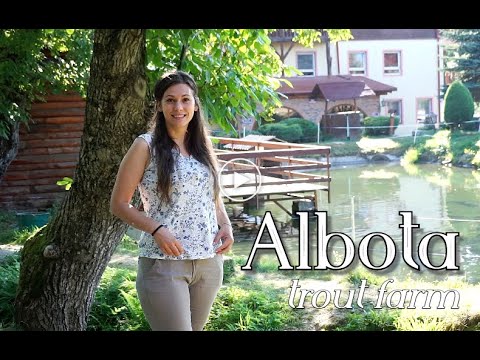 Romania e frumoasa - O zi la Albota - Albota Trout Farm