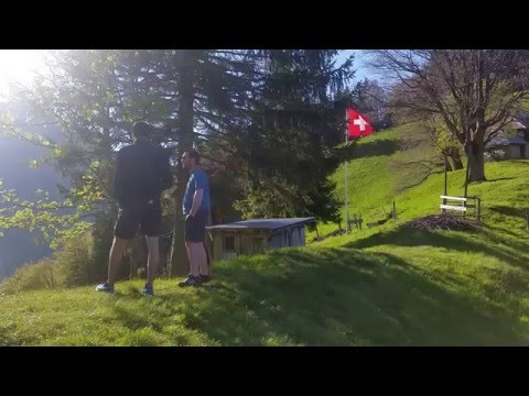 Le printemps de Novel