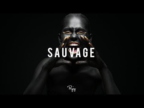 "Sauvage" - Hard French Trap Beat | Free Hip Hop Rap Instrumental Music 2017 | Fridji #Instrumentals