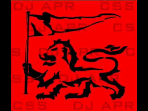 Scion Sashay Success Pain A Back