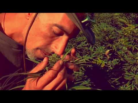 Dub All Sense ft. ‪Monkey Jhayam - Franco Loja  ( Special Tribute )