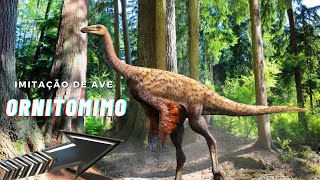 Ornitomimo um Dinossauro que imita uma Ave