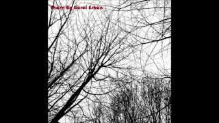 608 - DAVID CROSBY - SONG WITH NO WORDS ( THREE WITH NO LEAVES ) 1971.☮♡♫☼ Share By Gurol Erkan