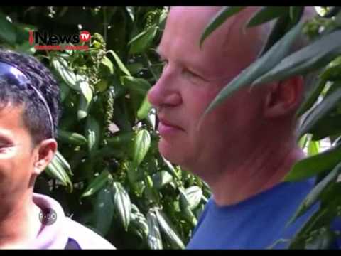 TURIS PERANCIS TERPUKAU PESONA HUTAN PELAWAN