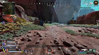 しおからのためのAPEX  DAYZ後程