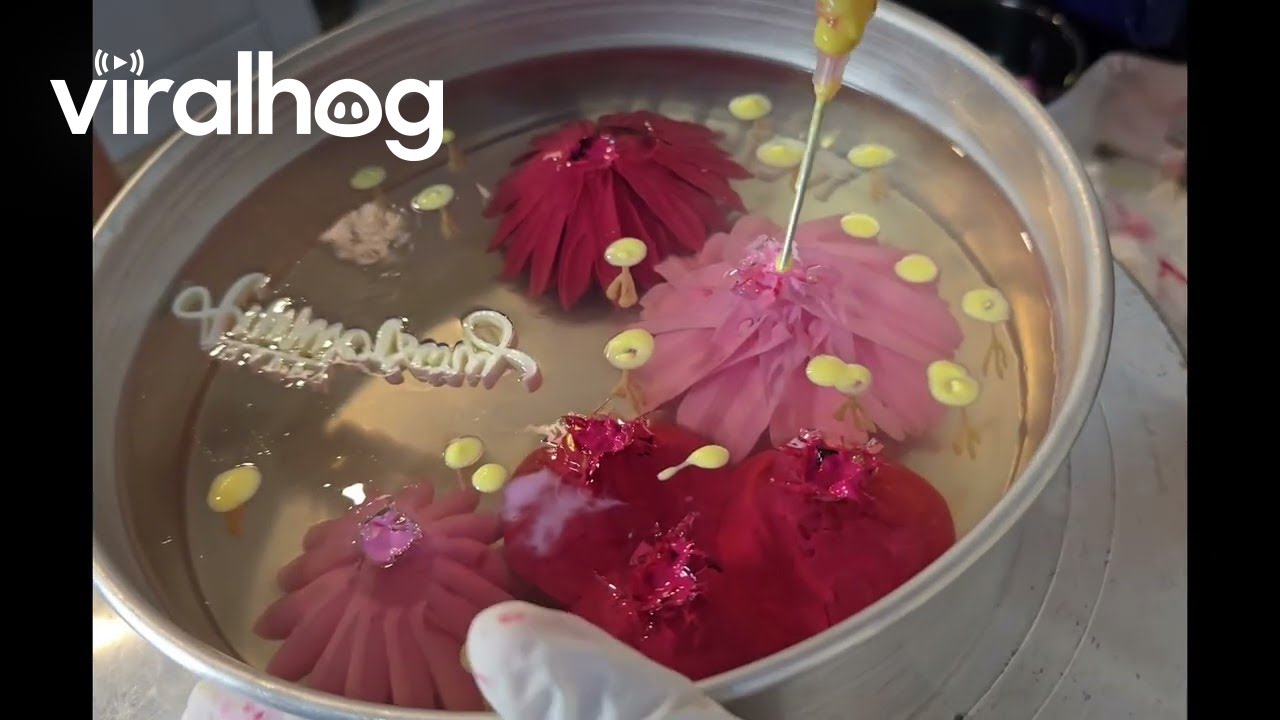 Stunning Floral Cake Made With Jelly || ViralHog