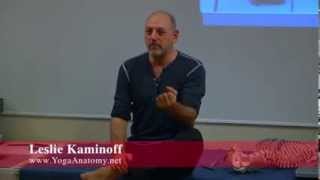 Should We Keep Mula Bandha All The Time?