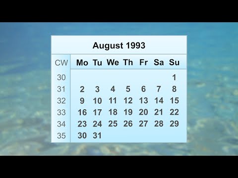 August 1993 Calendar