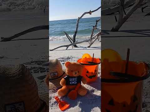 🎃  OcTober  29,  2025  🎃