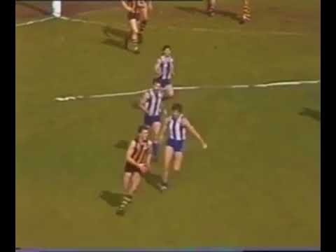 Jason Dunstall kicks 10 goals straight - RD 22 1988 (no commentary)