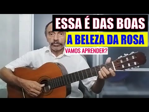 A Beleza da Rosa - José Ribeiro