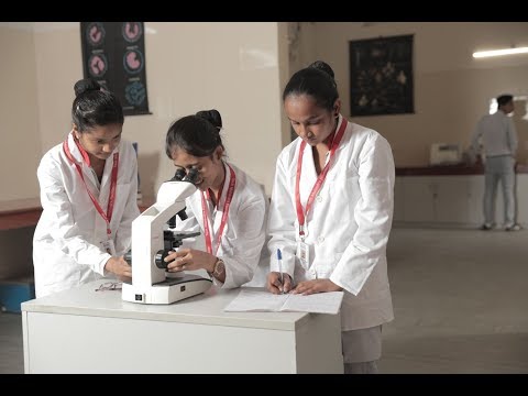 Tech Mahindra SMART Academy For Healthcare Mohali General video thumbnail 4