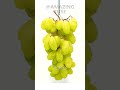 Grapes to Raisins - 40 Days Time lapse