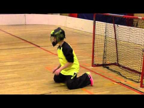 Viskadalen innebandyklubb