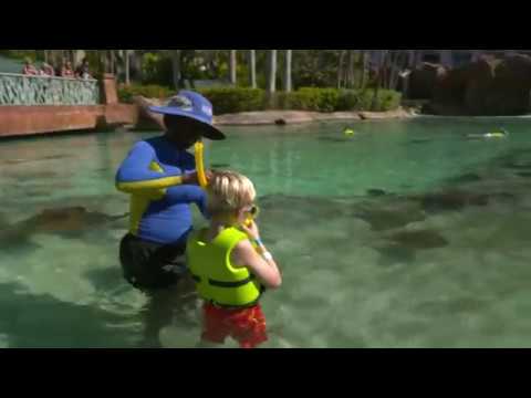 Atlantis Resort Stingray Experience