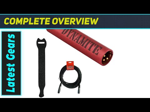 sE Electronics DM1 Dynamite: The Ultimate Mic Boost!