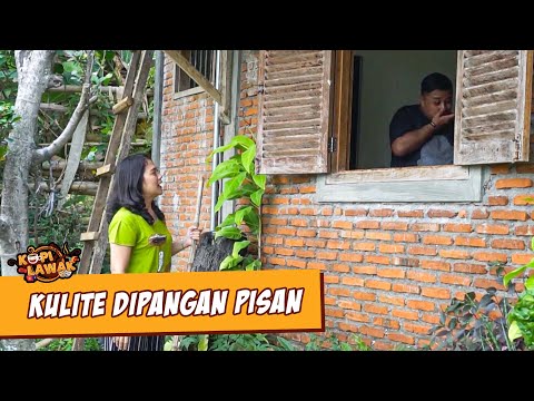 kopi-lawak-kulite-dipangan-pisan