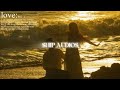 Ship Soft Audios Because You Fell First But They Fell Harder