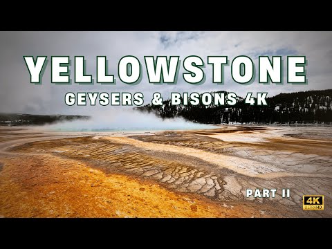 Yellowstone Part II — Geysers, Bison Traffic & Spring Adventure (4K Road Trip)