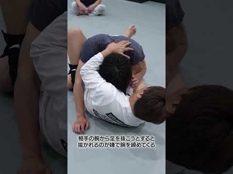 【1分でわかる】どうやっても入る三角絞め