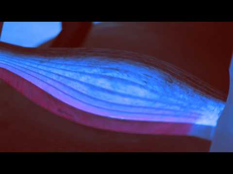 Q-Furb & Lava - Slaughter Flow (OFFICIAL MUSIC VIDEO) [NO LOVE]