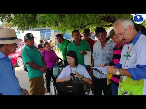 Campanha de vacinação contra a febre aftosa em Itapiúna - 25/04/2024
