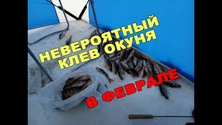 Рыбалка в конце февраля на окуня