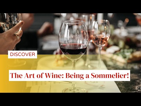 The Art of Wine: 10 Fascinating Facts About Being a Sommelier!