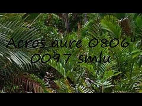 How to pronounce Acros aure 0806" 0097 smlu in English?