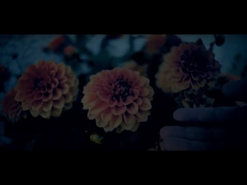 Grand Massive - "The Collector" Metalville Records - Official Music Video