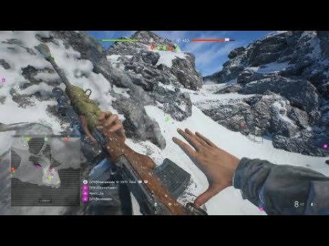 BFV: Selbstlader 1916