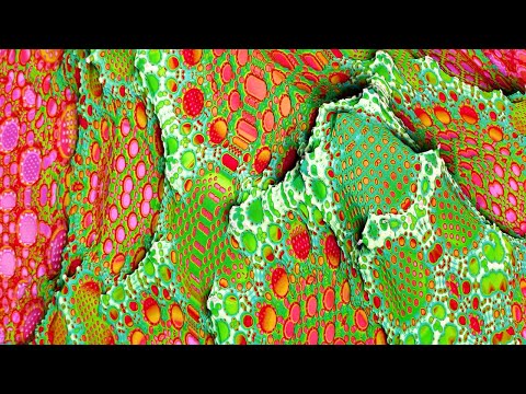 The Hardest Trip and Brainwave music  - Mandelbrot Fractal Zoom