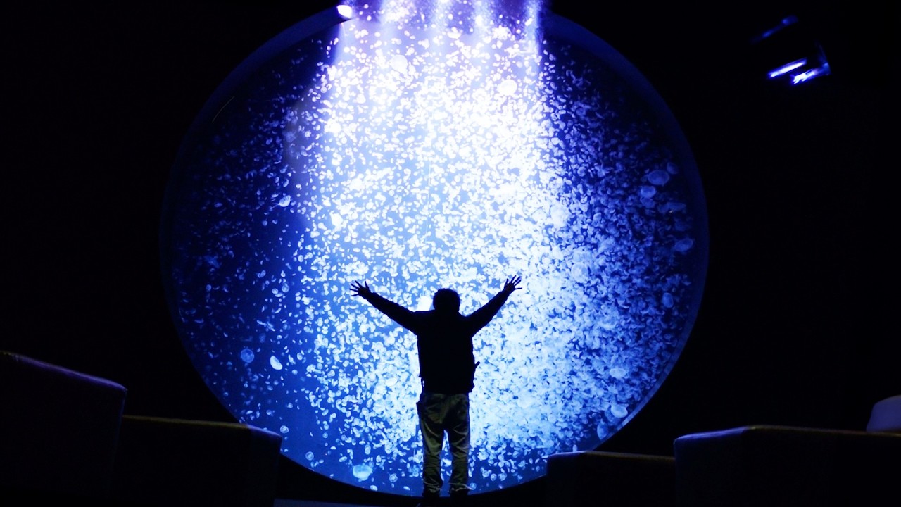 この水族館、ちょっと怖い
