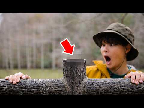 森の手すりの上にとんでもない生物がいた！