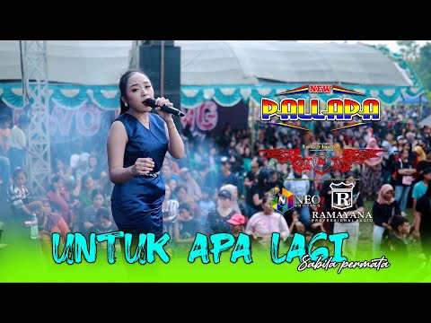 UNTUK APA LAGI - Sabila Permata - NEW PALLAPA - RAMAYANA Profesional Audio - LOWO IRENG 2025
