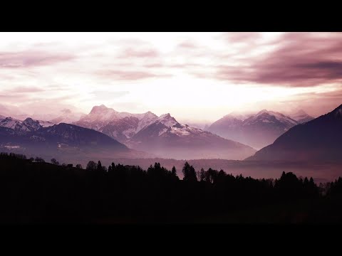 Ambyion & Shockline & Vidoux // Dreamer