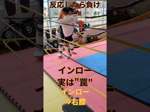 インローは、ダメージを与えるためだけの技ではありません。本当に狙っているのは相手の反応です。一度反応を引き出せれば、その反応は次の攻撃につながります。#ボクシング#キックボクシングテクニック#インロー