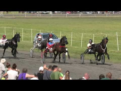 Trka "Dunav osiguranje" 18.07.2021 Gorica de Sajan & ĐorđeJevtić