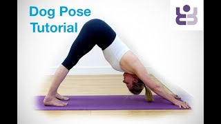Adho Mukha Svanasana - Quick Yoga Tutorial - Dog Head Down