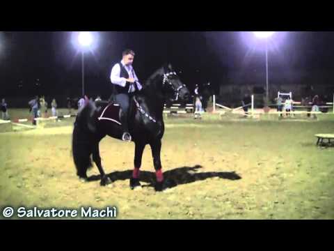 Alessandro Pitruzzella - Galà Equestre