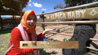 Download lagu MENU HALAL MUSLIM PERU (22/05/19) PART 3 | JAZIRAH ISLAM mp3